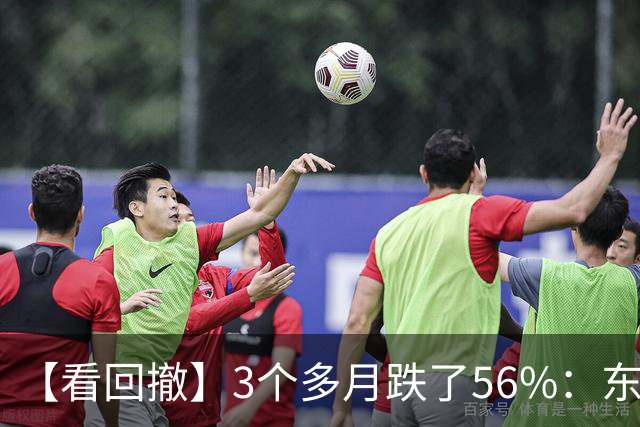 【看回撤】3个多月跌了56%：东方阿尔法基金百万持有人何去何从？